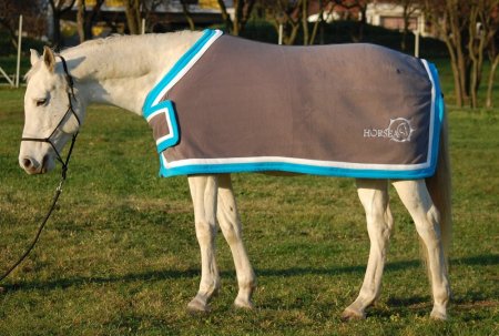 Odpocovací deka Horsea Elegance