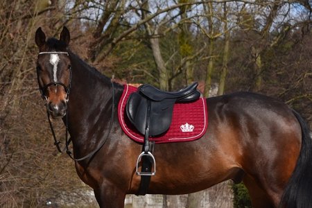 Všestranná podsedlová dečka Horsea Crown Bordó