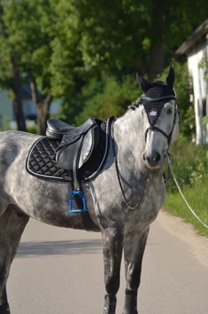 Čabraka Horsea Long - Barva: Modrá, Velikost: Full